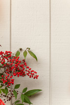 red berries on white wood background 