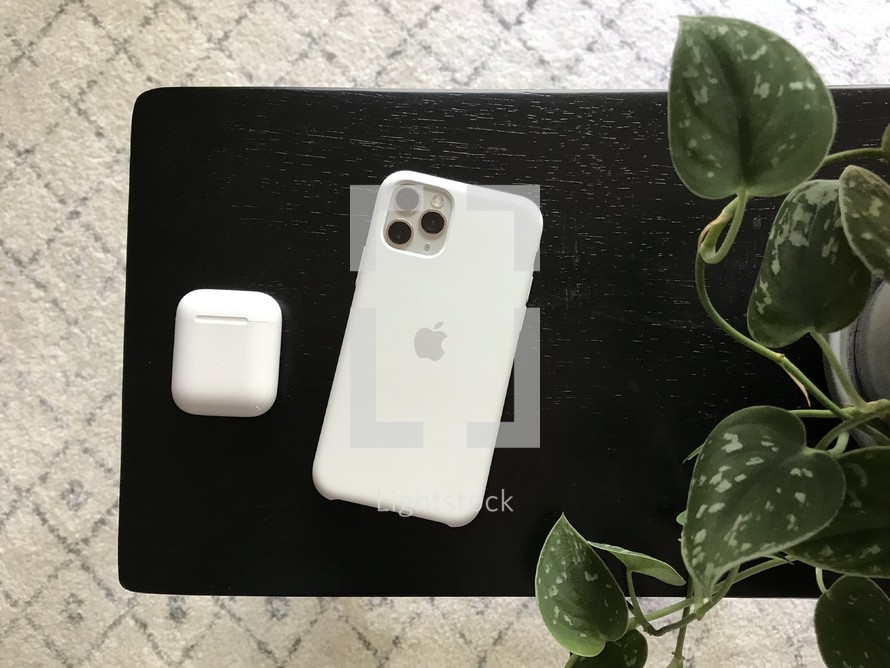 iPhone, Airpods, and houseplant 
