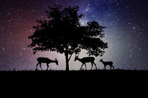 silhouettes of deer under a tree at night 