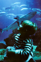 boy at an aquarium 