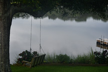 swing hanging from an oak tree overlooking water 
