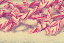 candy canes in snow 