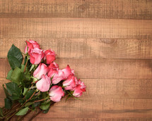 pink roses on wood background 