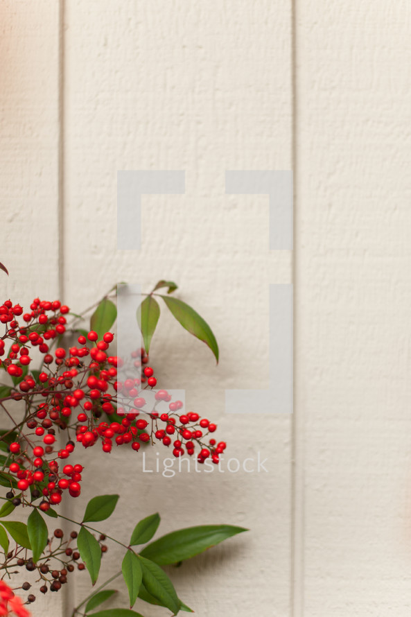 red berries on white wood background 