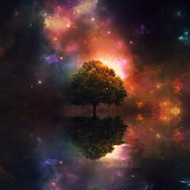 tree in a cosmic scene 