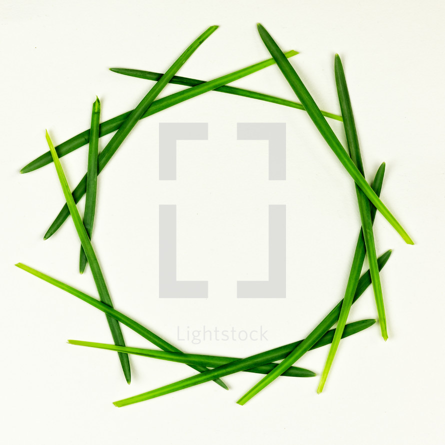 Easter wreath of grass blades 