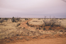 path through a desert landscape 