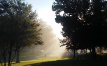 fog over a golf course in morning 