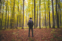 A man standing alone in a forest 