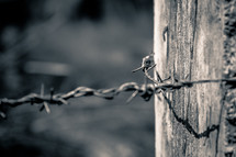 barb wire on a post 