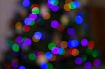bokeh colored Christmas lights on a Christmas tree