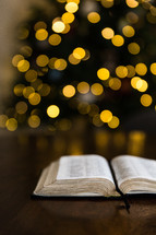 open Bible in front of a Christmas tree