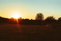sunburst over a field 
