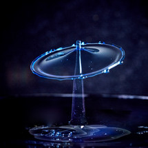 water Drop Art: 