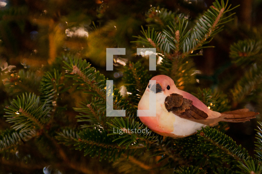 A bird in a Christmas tree. 