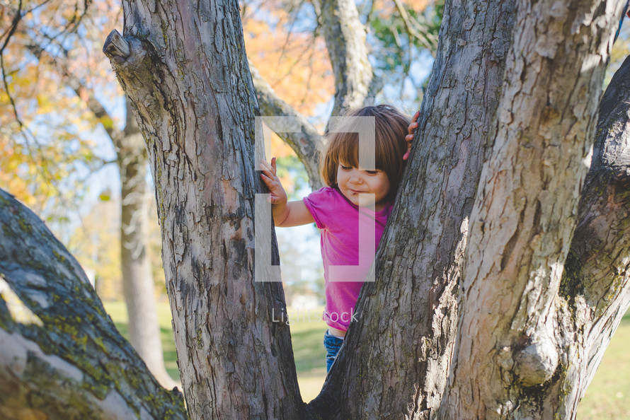 girl climbing a tree 