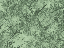 Background pattern design from needles of cedar tree.