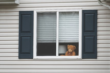 teddy bear in a window 