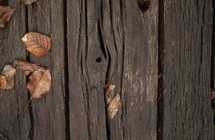 fall leaves on wood boards 
