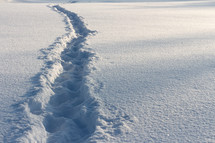 snowy path 