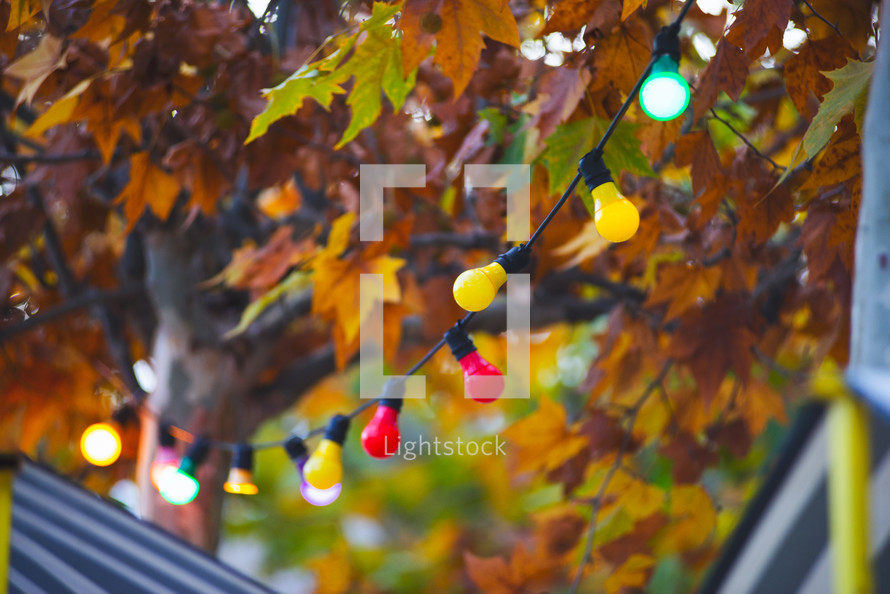 Colorful light bulbs in the street in autumn