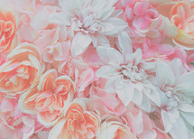 pink flower background 