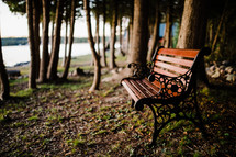 park bench by a lake shore 