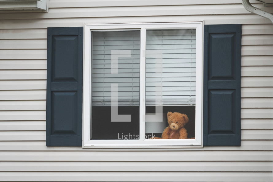 teddy bear in a window 