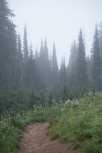 mountain trail 