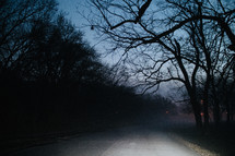 foggy road at night 
