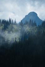 evergreen forest and mountain peak 
