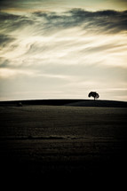 distant tree across plowed farmland