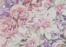 pink flower background 