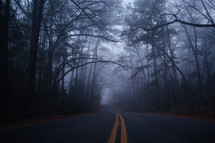 foggy road 