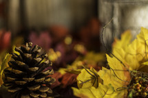 fall scene - pine cones and fall leaves 