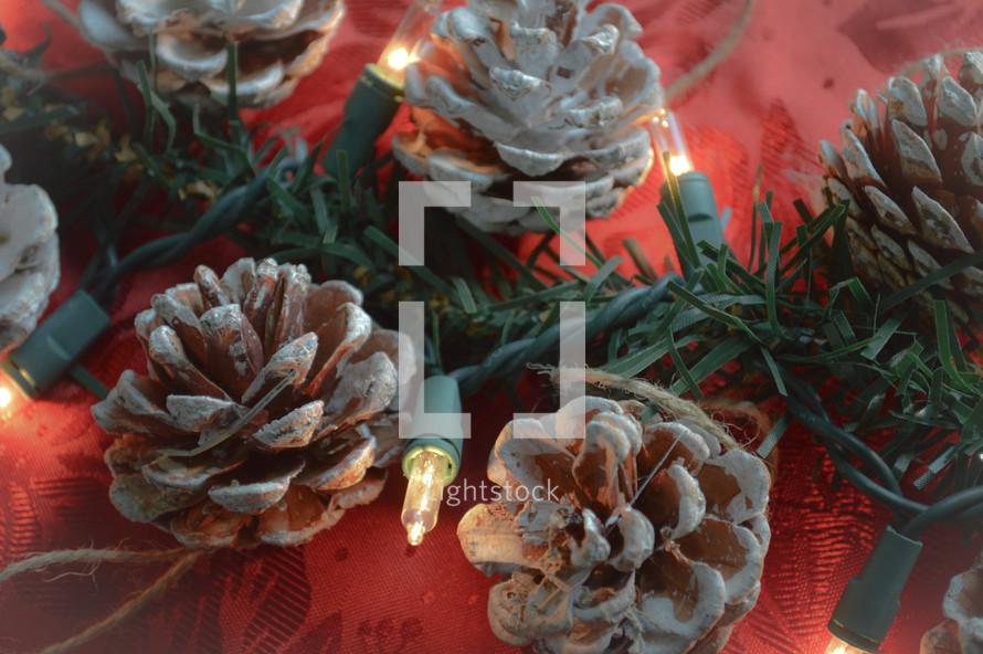 string of Christmas lights and pine cones on red background 