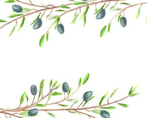 olive branch sketch 