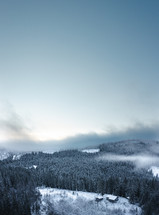 aerial view over an evergreen forest with snow 