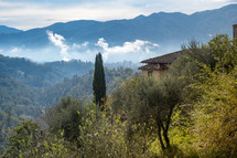 Tuscan hills 