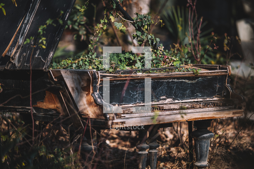 Old abandoned piano and plants