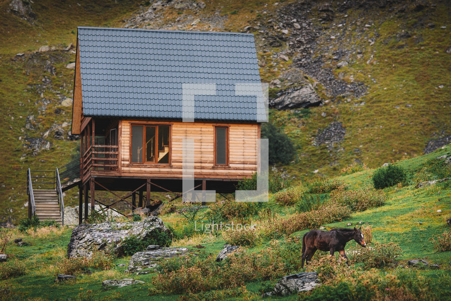 Horse and cottage in the wild nature