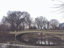 bridge over a murky pond