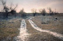 a worn path through country land 