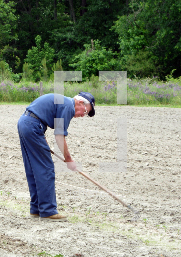 An elderly man in a blue outfit gardens in a freshly plowed field with a hoe to plant a garden and rows of food to raise. 