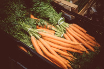 carrots at market 