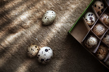 Quail eggs in a box 