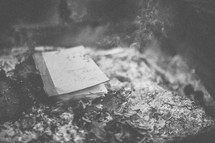 Book in a pile of ashes.