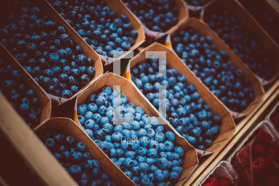 buckets of blueberries 
