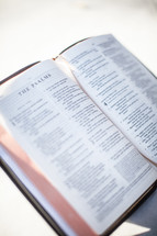 The Psalms on the pages of an open Bible 