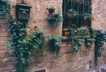 Flowery Windows In Pienza Tuscany